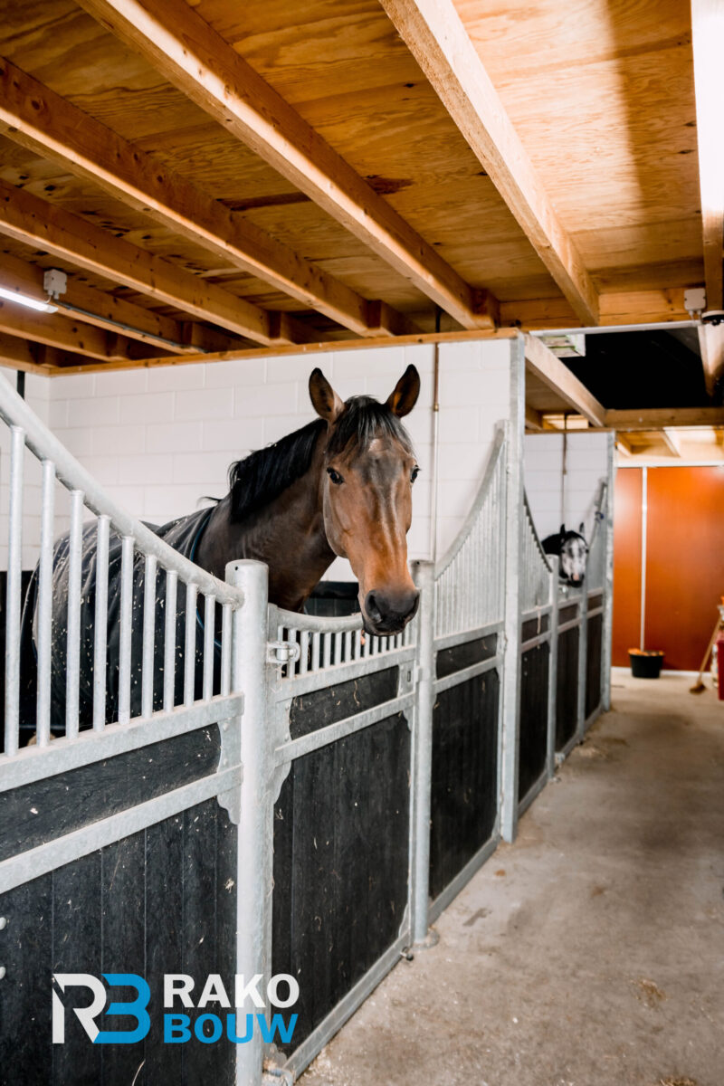 Rako bouw paardenstal & Buitenverblijf